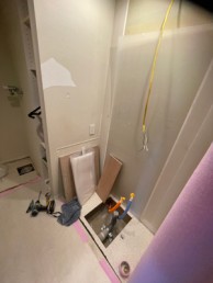 美しいボウルデザインで気品ある優雅な洗面空間　川崎市高津区Y様邸